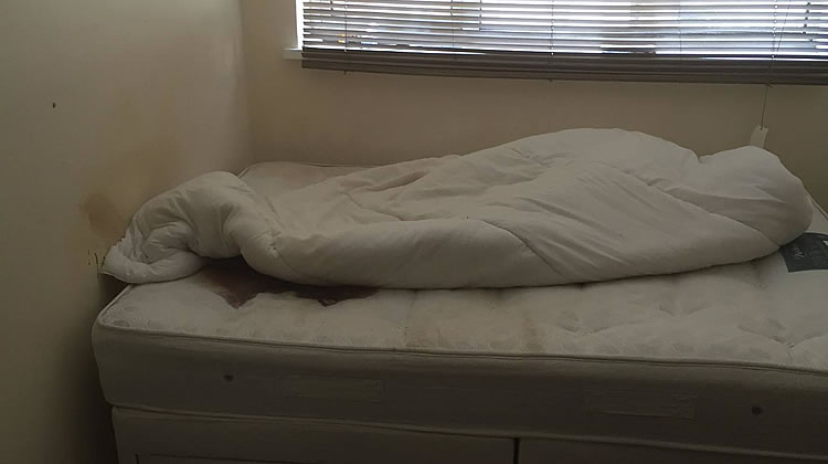 Decomposition & Unattended Death Cleaning