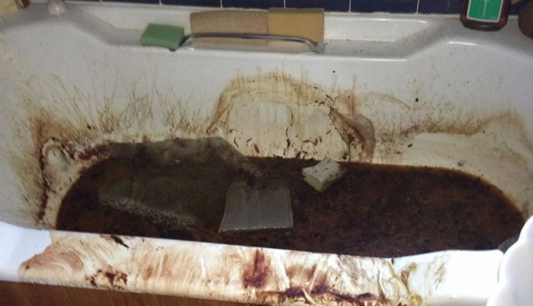 Gross Filth Cleanup