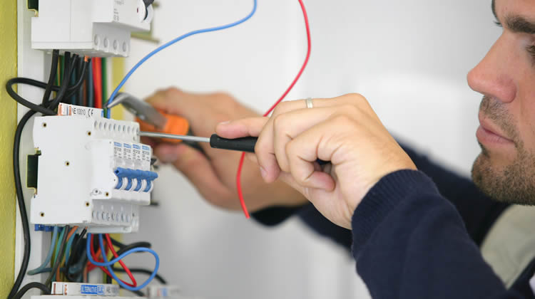 Property Maintenance